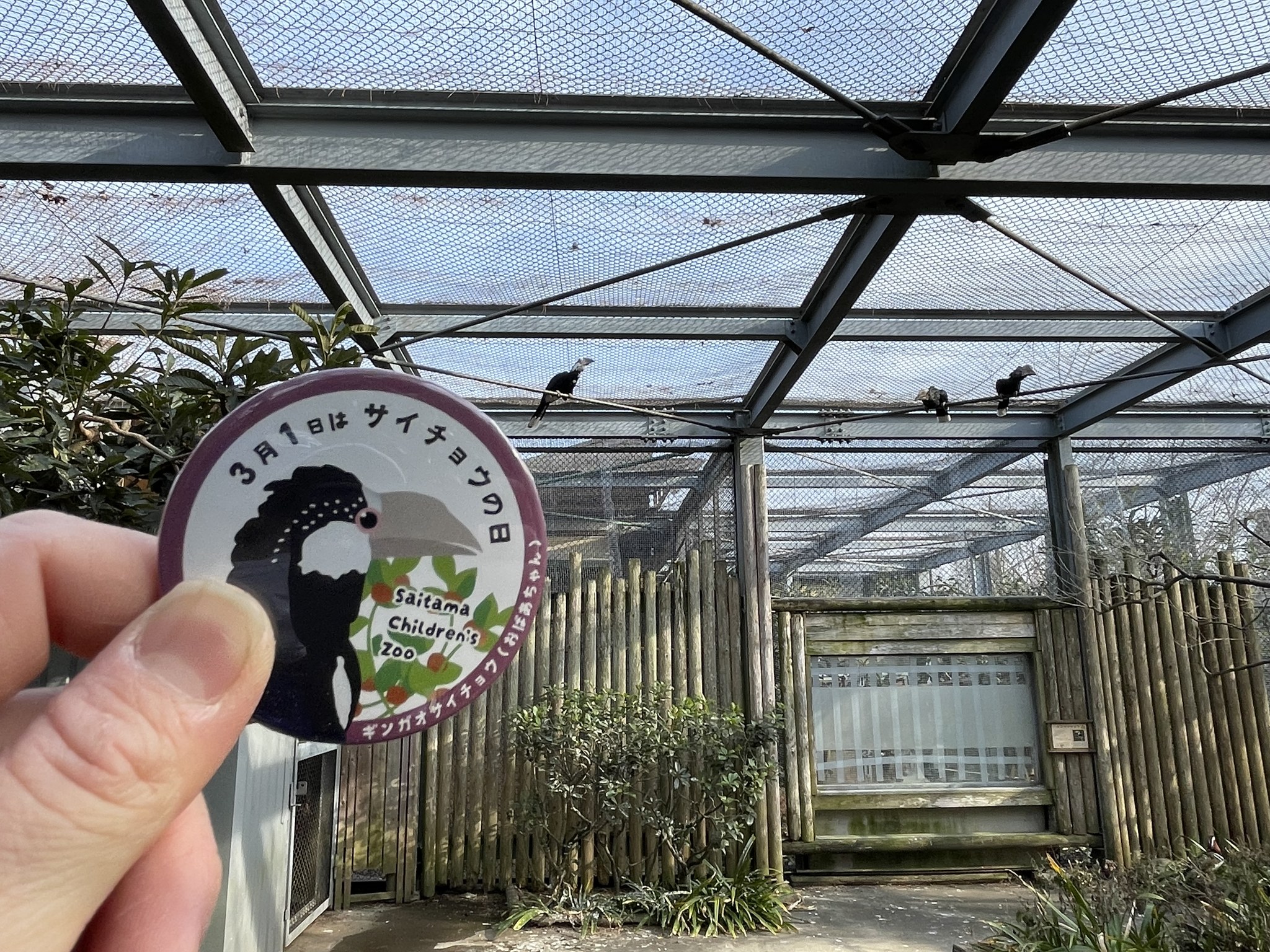サイとガチョウがななくなったら…(サイン入り！レア‼️) 金鳥の渦巻 ミニサイズ