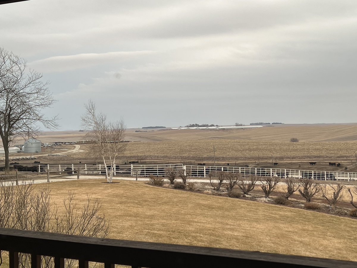 JoanRuskamp's tweet image. It&apos;s such a mild evening I hate to see it end with blizzard conditions in the forecast. #myviewfromthekitchenwindow #waitingforspring