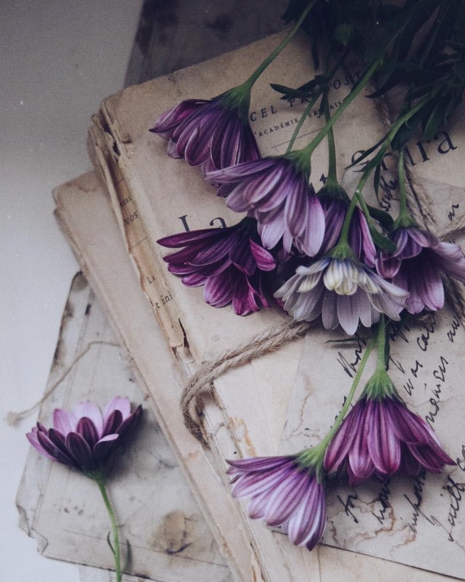 Monica AS tweet media