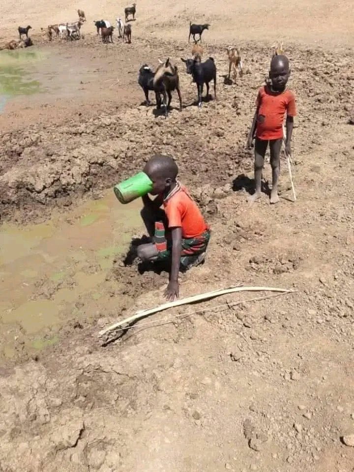 Mandera languishes in a dire water crisis while its so-called leaders recklessly squander resources to fuel their political egos. The people thirst, yet their priority is self-preservation. Enough of this betrayal! #FreeMandera