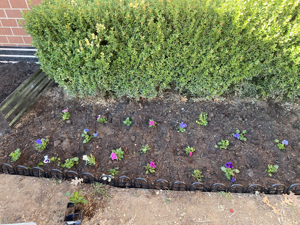 Mrs_ABetts's tweet photo. We are so excited to get started on our garden project, with the Kindergardeners (yes gardeners 🪴)Thanks to our parents and Thanks so much @FoundationMISD and @HEB tournament of champions. We can’t wait to see our Blossoming Broncos garden grow. 🌸 🪴 @mansfieldisd #moretocome https://t.co/I3LjrYGKPv
