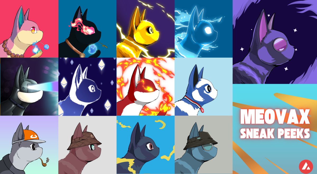 Which meovax is for you ?  😺