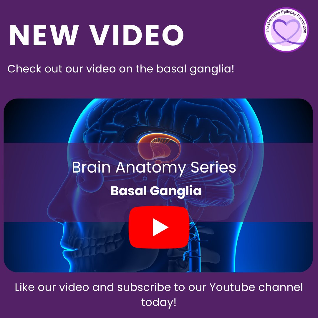 iamnatalieboehm's tweet photo. Check out our video on the basal ganglia in our Brain Anatomy Series! Like our videos and subscribe to our channel today!

YouTube link: https://t.co/1RIcT31jAB

#defeatepilepsy #neuroscience #neuroanatomy #basalganglia https://t.co/RcJ6YdJ3pW