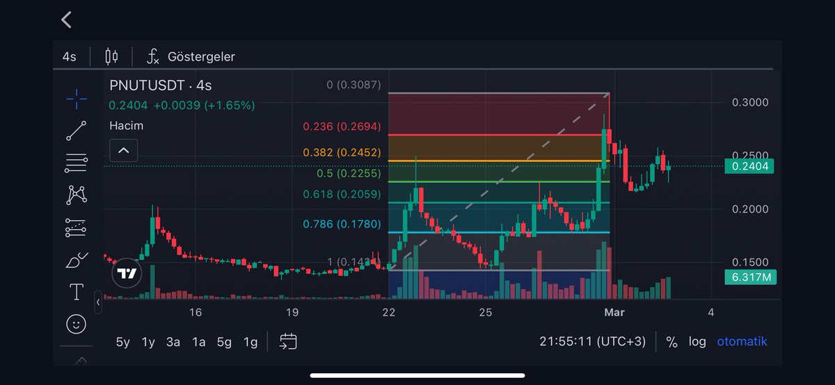 $pnut 0.2059 korunmalı🤞