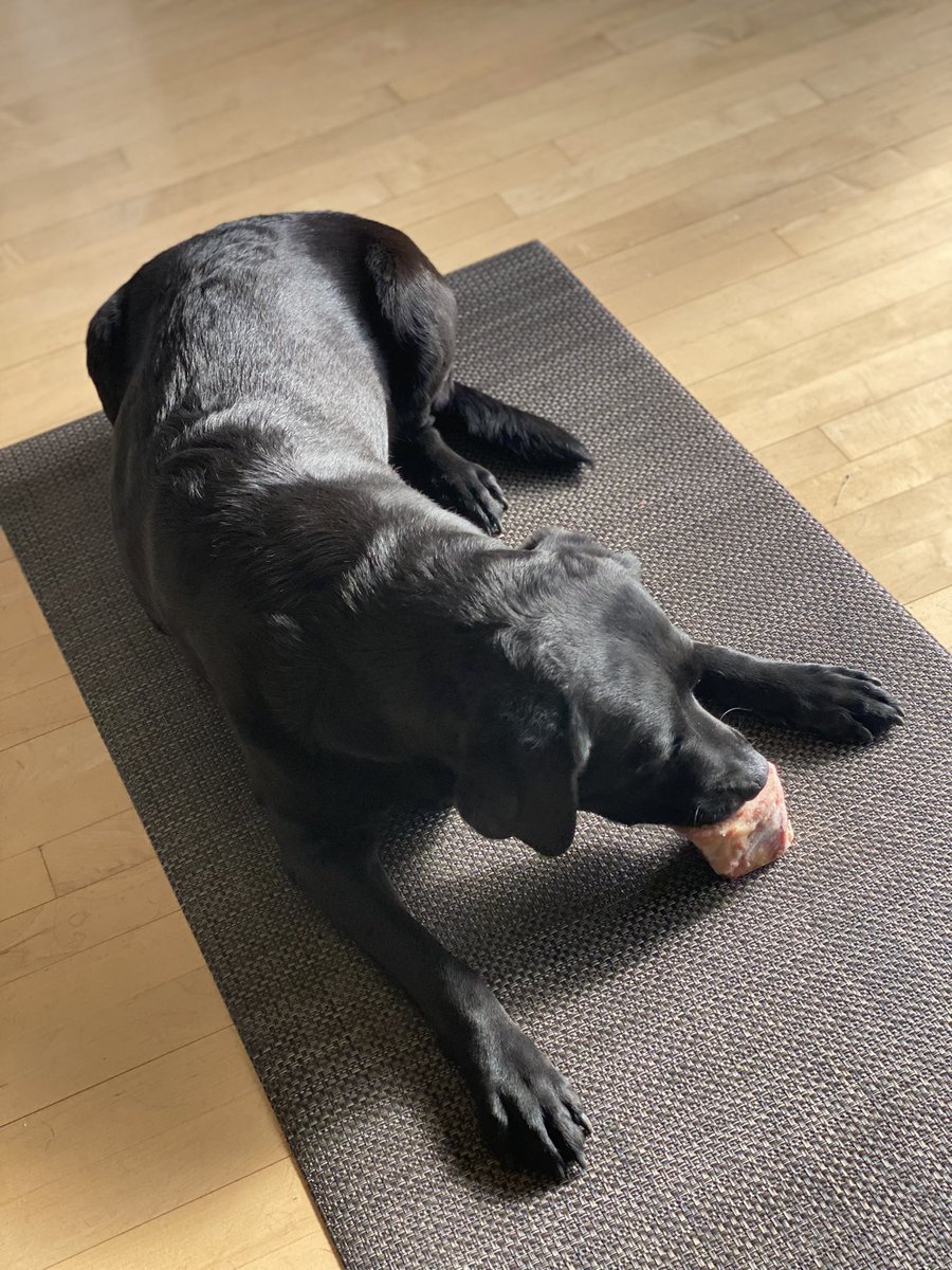 Doclloyd's tweet image. Bone marrow for lunch!!