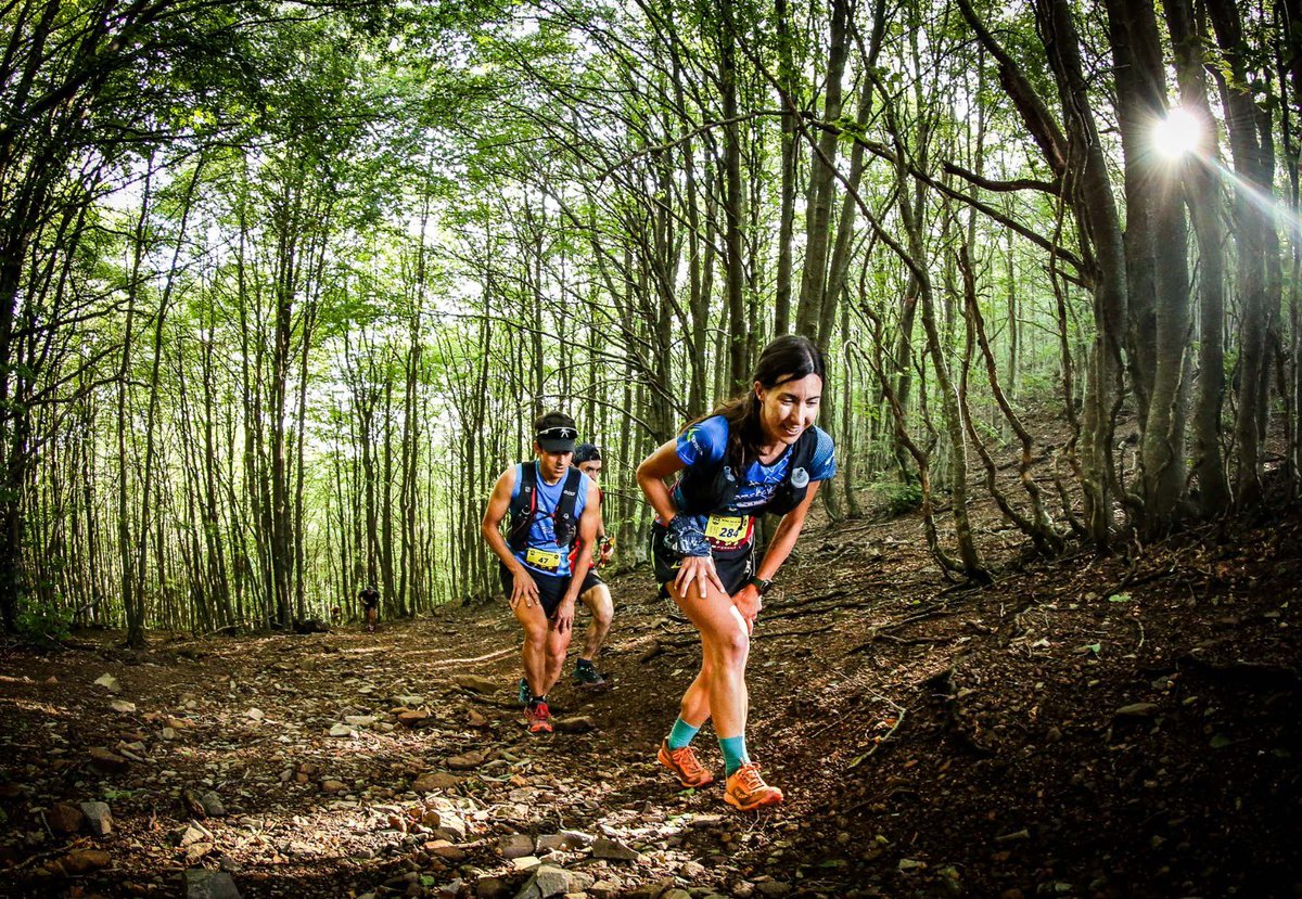 Hem tornat!
El 6 de juliol, Trail Fonts del Montseny 2025. 
Ja us podeu inscriure a trailfontsdelmontseny.com
