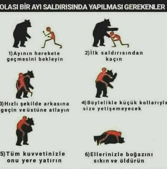 Kutlu09009's tweet photo. @dunyadanbilim Bunu da paylaş aga bu da çok bilimsel https://t.co/QAdhmYB4MB