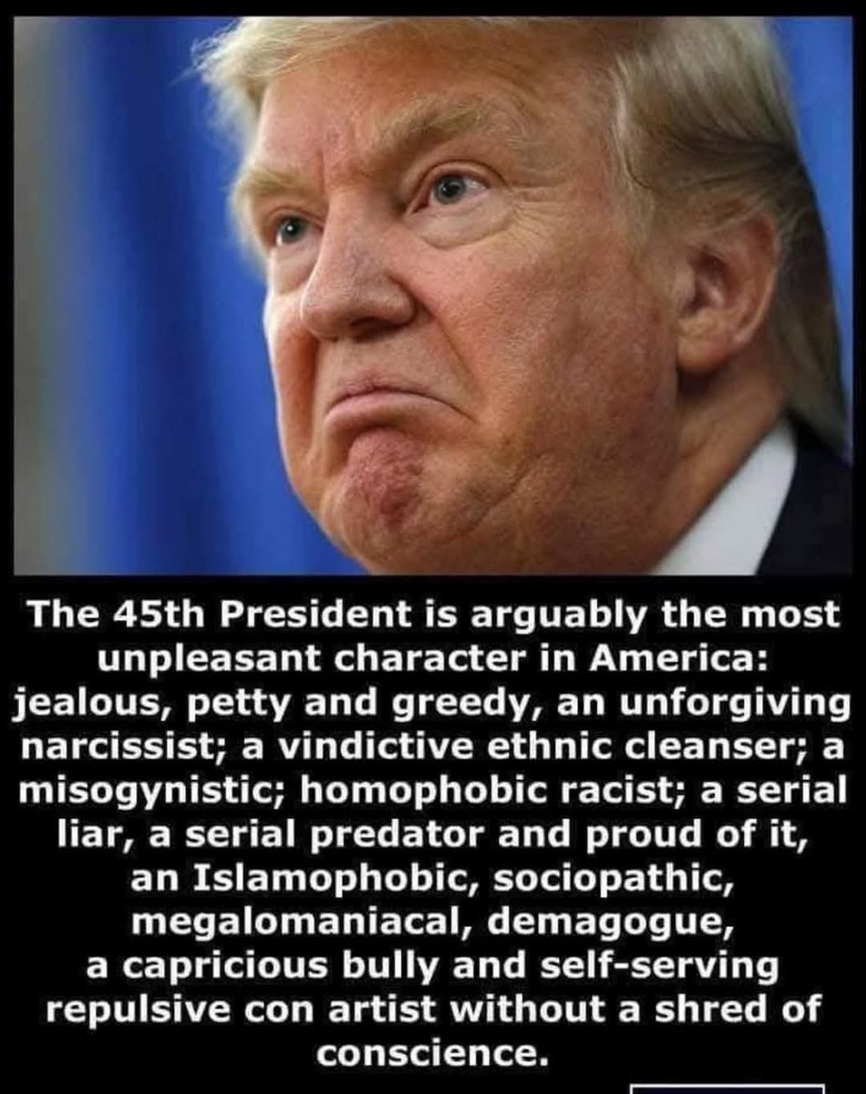 Damaan4u33's tweet image. Who agrees there has never been a more, unqualified, uneducated, low IQ, mean, hateful, sarcastic, despicable, president in American history?🖐️