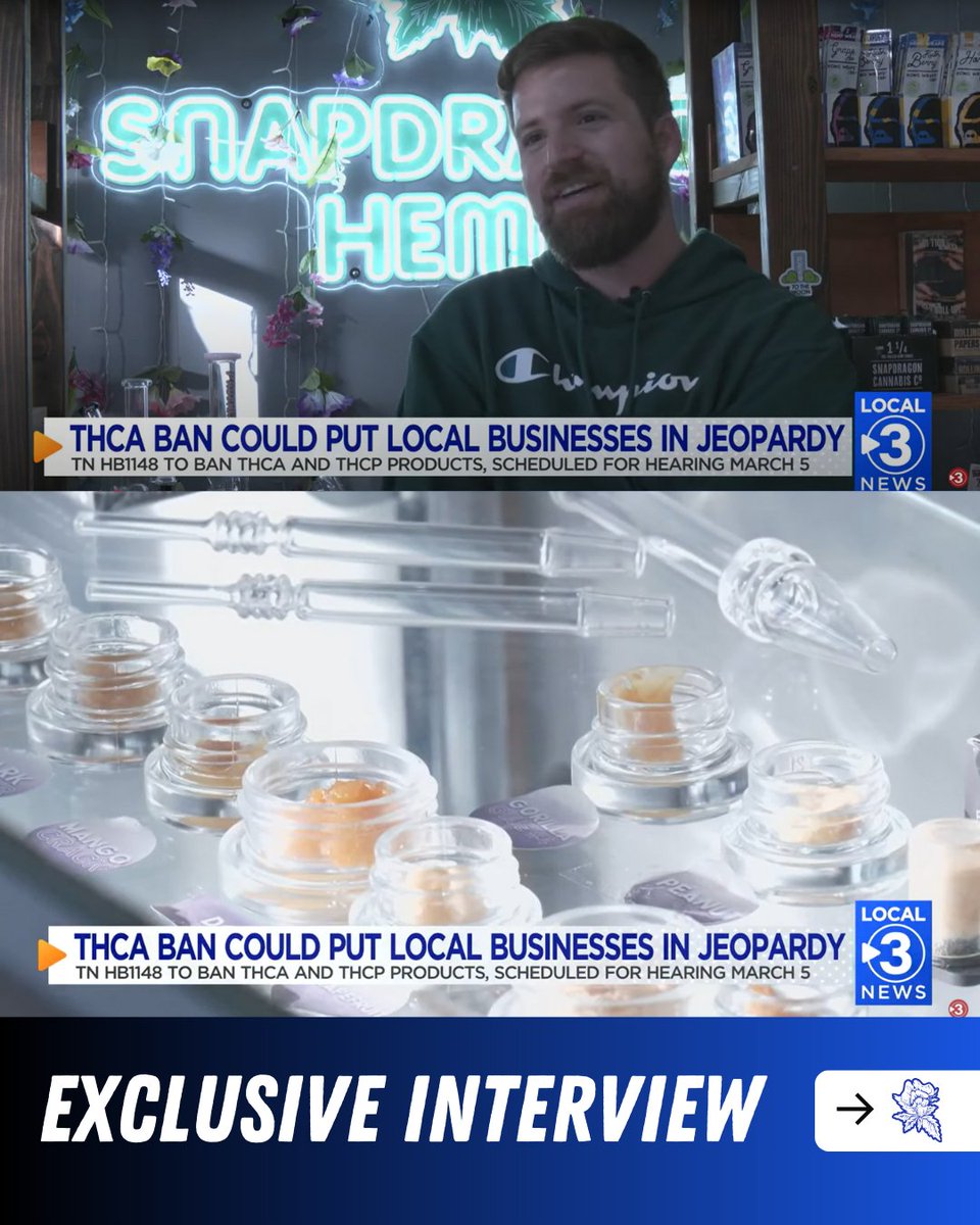 SnapdragonHemp's tweet image. Breaking TN Hemp News: Snapdragon&apos;s founder and CEO, Josh Manning, was interviewed on Local 3 News about the new alarming bills and their potential impact on our industry.  

Watch now! youtu.be/Ru0t_vVSTmU?si…

#Local3 #ExclusiveInterview #Local3News #Chattanooga