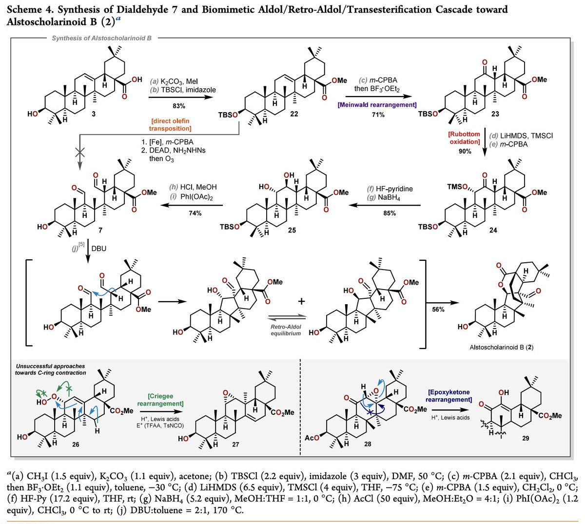 Bioinspired #Synthesis of Alstoscholarinoids A and B by Nicolas Kratena (<a href="/Dr_Nik_K/">Nicolas Kratena</a>), Maximilian Kaiser (<a href="/chemkaiser/">Max Kaiser</a>), Kirill Naumov, Martin Waxmann, and Peter Gaertner at <a href="/tu_wien/">TU Wien</a> in <a href="/JACS_Au/">JACS Au</a> pubs.acs.org/doi/10.1021/ja…