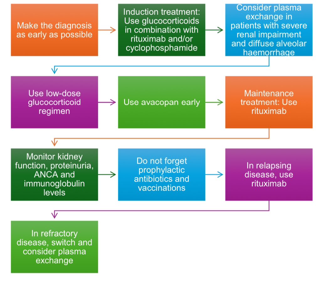 10 tips para el manejo de Vasculitis ANCA

CKJ 2025
https:/doi.org/10.1093/ckj/sfae389