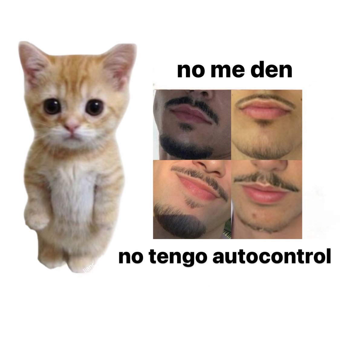 yo