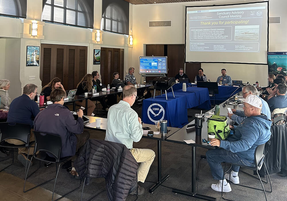 📢Applications for Sanctuary Advisory Council are DUE THIS FRIDAY, MARCH 7th!

Interested individuals are highly encouraged to apply! For information on how to apply and more information about the positions, please visit our website: channelislands.noaa.gov/sac/apply.html