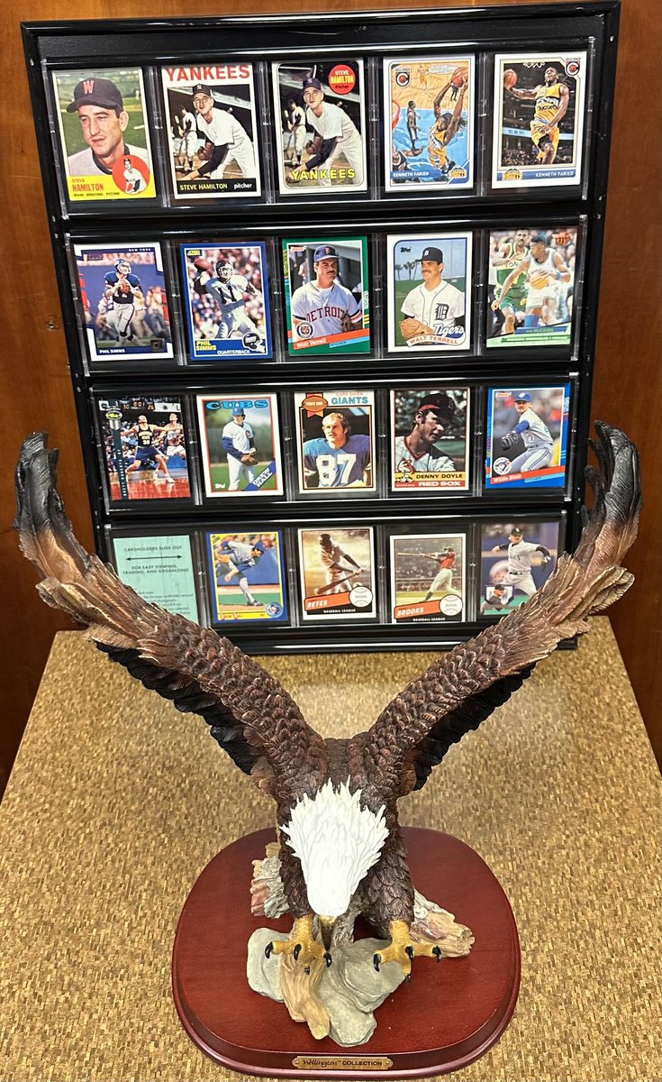 Kelly Wells tweet media