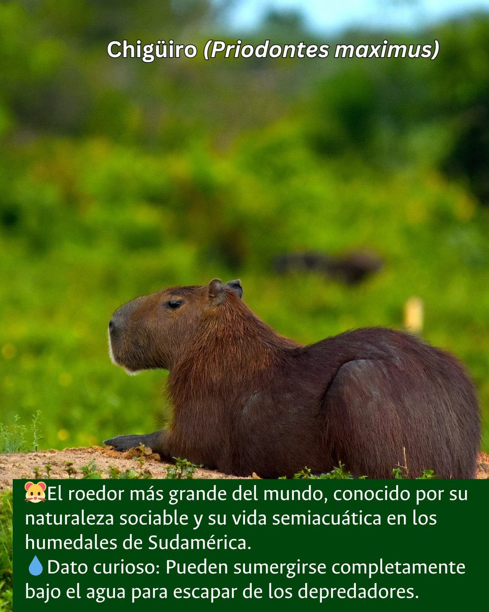 Ecolmod_UN tweet media