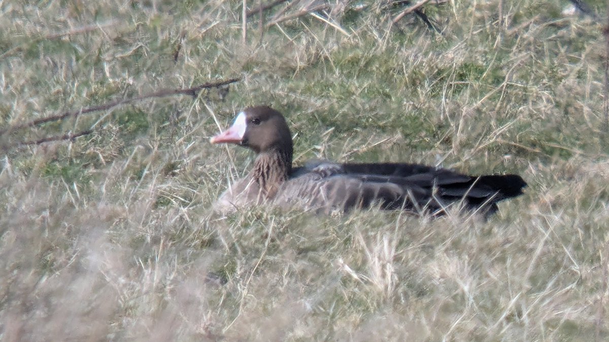 Christopher Onn tweet media