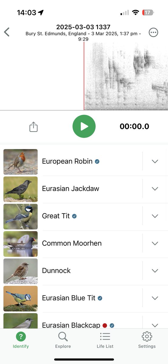 Laura Rawlings 💙 tweet media