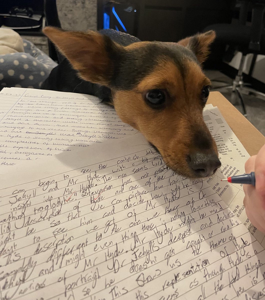 This is just to let my S4 class know that Harley says your Jekyll &amp; Hyde essays all get 20/20…but she could just be saying that so I’ll stop marking and play with her…