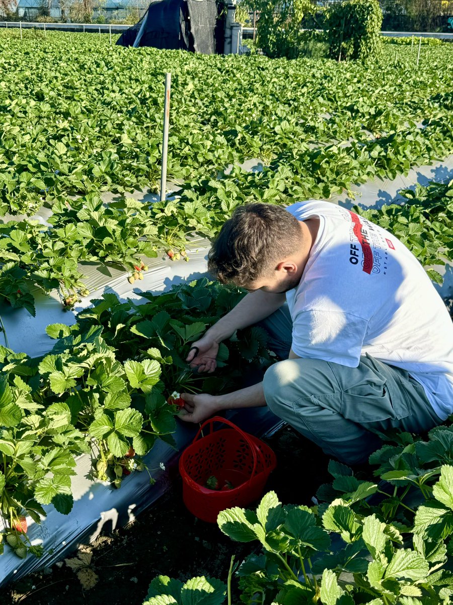 _almostlost's tweet image. Travel the 🌎