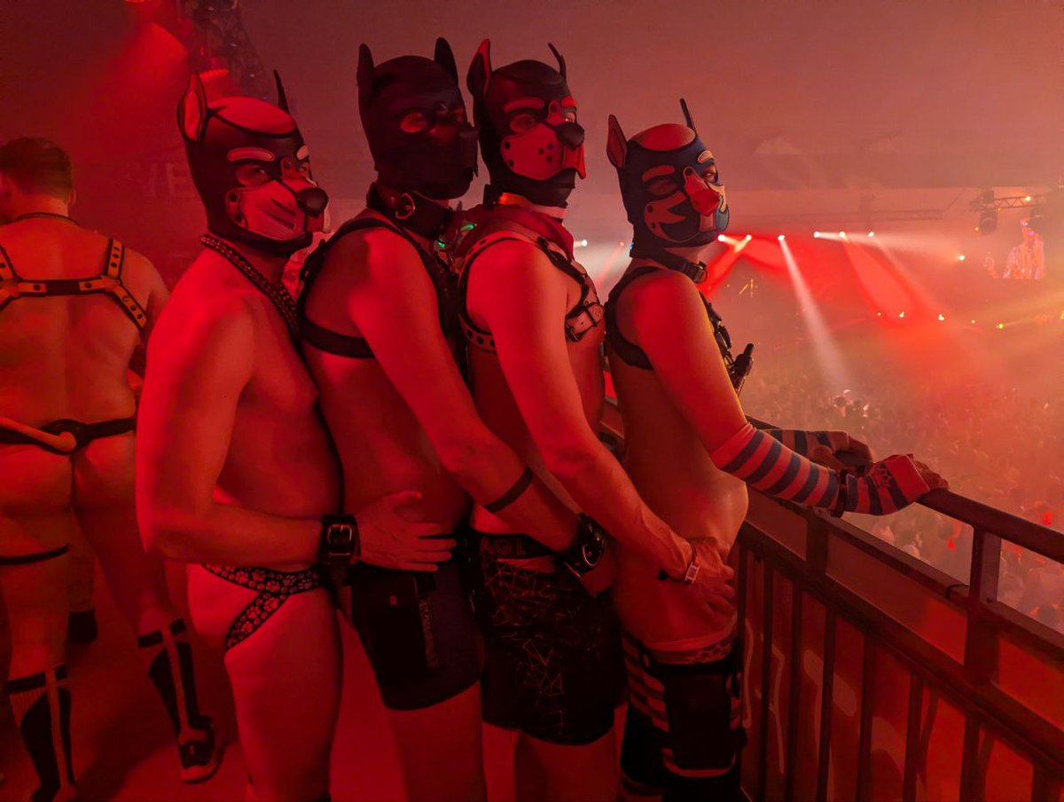 Met <a href="/NukaPup/">Pup Nuka</a> and <a href="/GammaPupSunny/">Pup Sunny 🔜 FWA</a> the other night - horny dog behavior immediately ensued