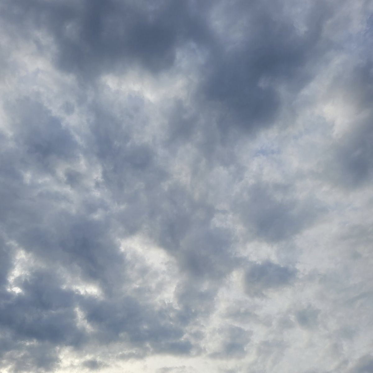 Hermoso inicio de semana.🥰🥰💖✨