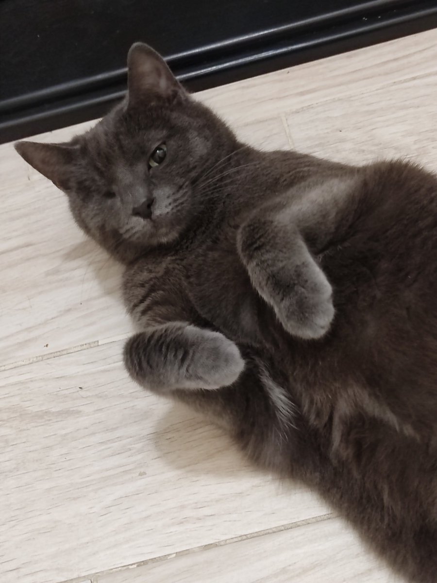 ami_969's tweet photo. Як же вона виросла 🥺🥰 https://t.co/pntnRUXwQa