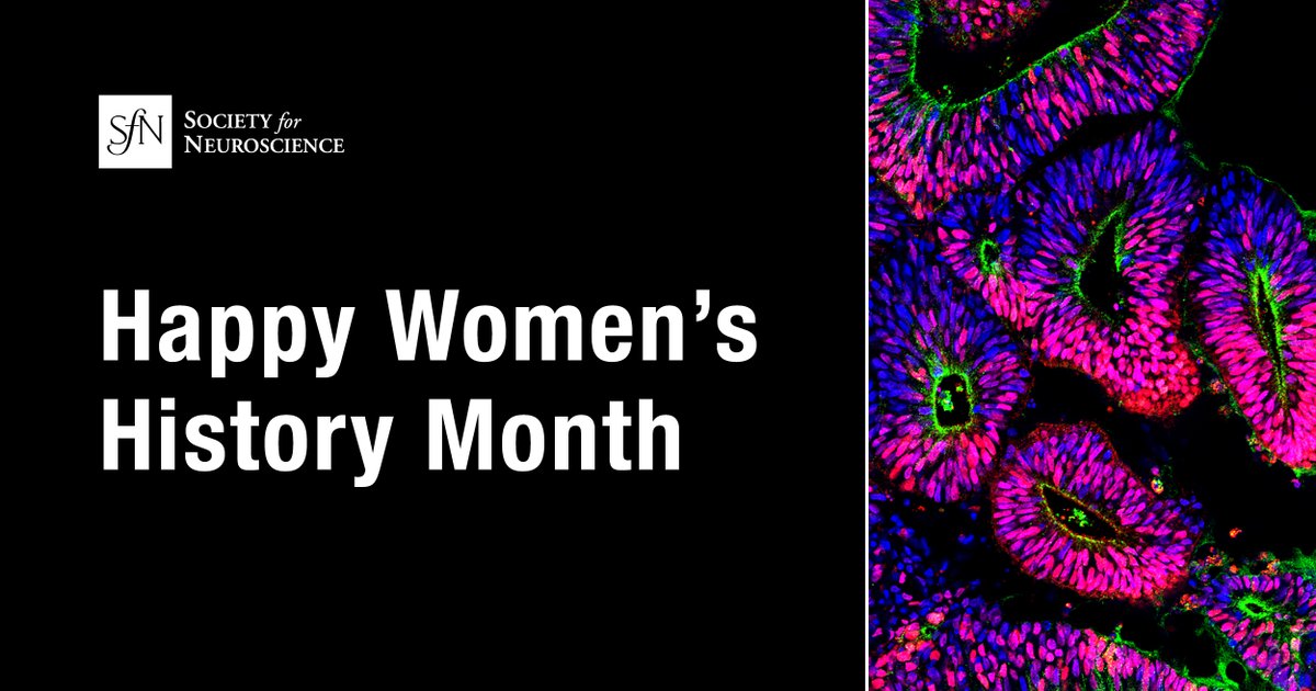 This #WomensHistoryMonth, SfN celebrates women in neuroscience who have dedicated their lives and careers to educating and inspiring generations. Through research, mentorship, and leadership they continue to light the path forward for the next generation of scientists.