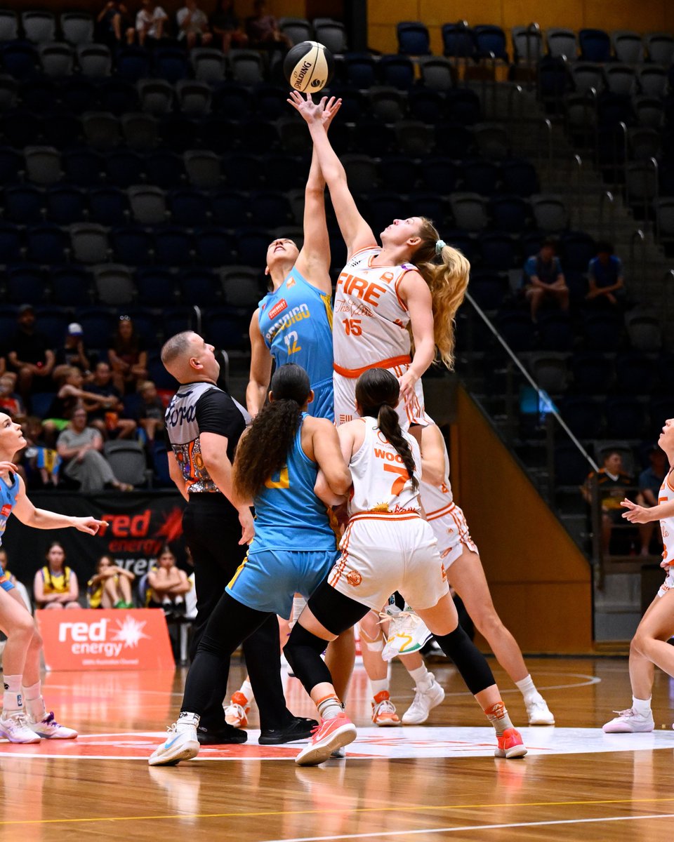 After 89 games, 16 regular rounds and 4 finals, the Cygnett WNBL Grand Final is here.

Check out our WNBL Grand Final preview ➡ bit.ly/4bxhaOT

#WeAreWNBL