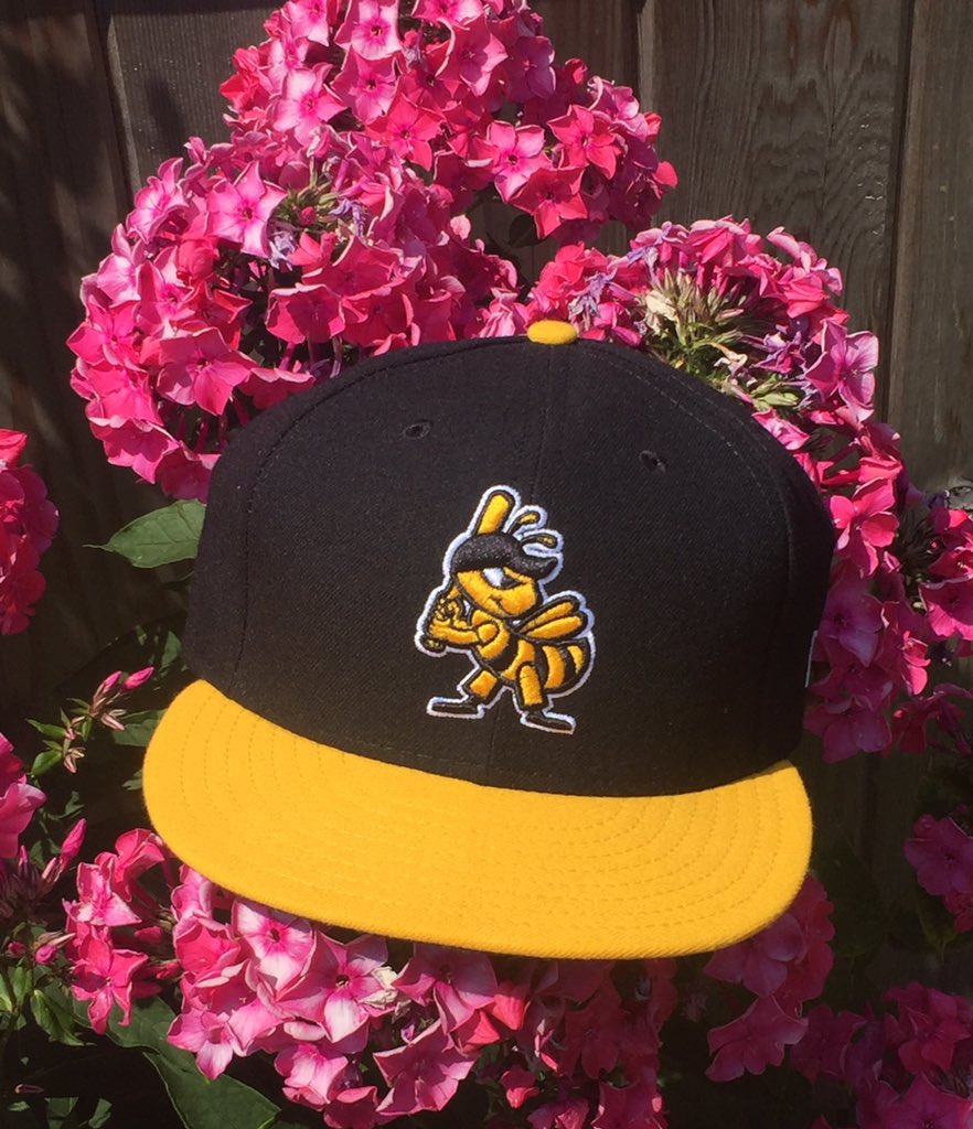 Graham Maclagan tweet media