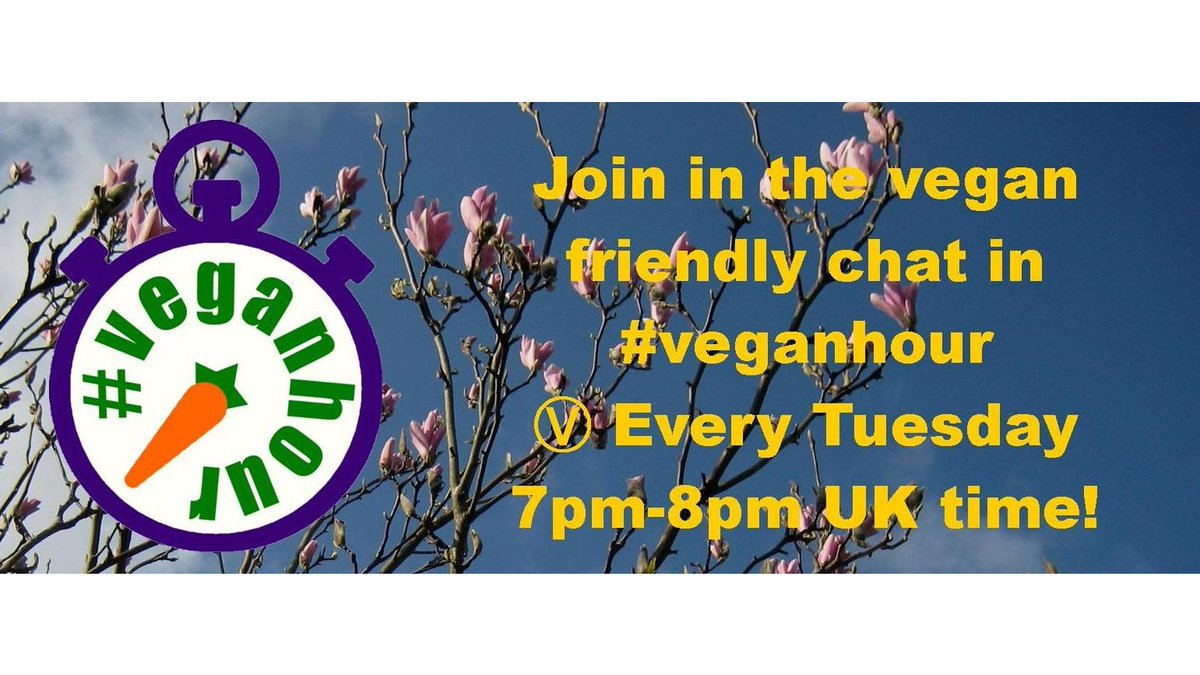 Don't forget to join in the vegan friendly chat in #VeganHour every Tuesday. 7pm-8pm GMT. 🕖

Share your vegan food, recipes, animal rights, action &amp; campaigns etc. Ⓥ

#vegan #animalrights #veganrecipes #veganism #veganfortheanimals

🗨 🇻 🇪 🇬 🇦 🇳 🌍