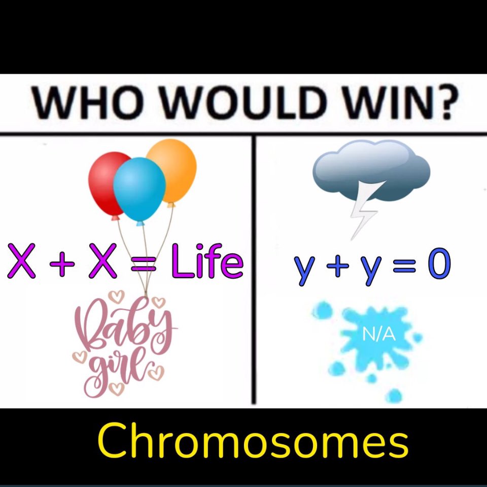 Beautiful Warrior (@lifeisturntup) on Twitter photo 