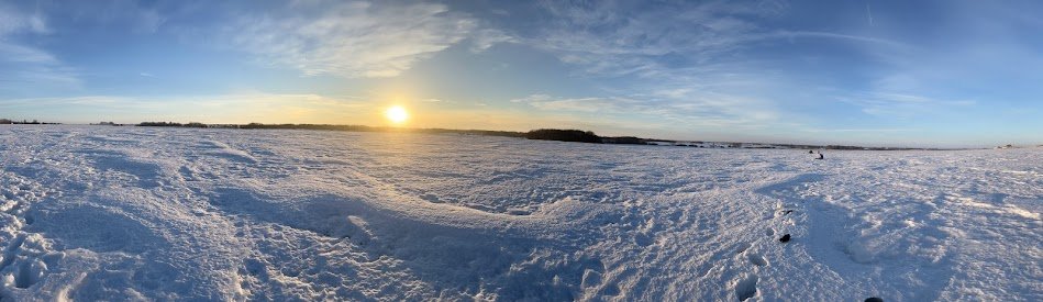 Phillip Harder tweet media