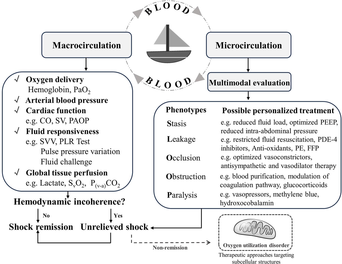 Understanding hemodynamic incoherence: mechanisms, phenotypes, and implications for treatment

CCR Journal Watch - tracking the critical care literature daily
criticalcarereviews.com/latest-evidenc…