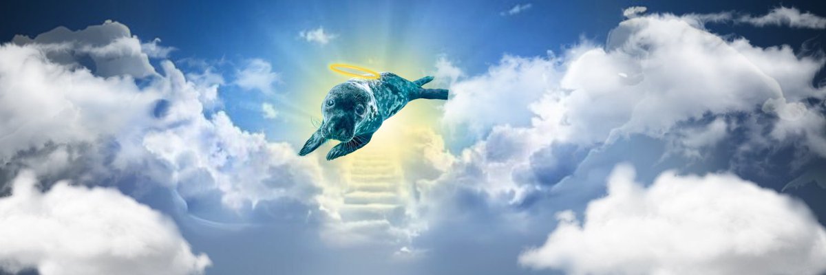 Gone but not forgotten $chappy

8hfy8fXp6JyA2eT53S5iDnSPYSarZ1JSMMY8Qa2ECf7i

@Netti_Crypto