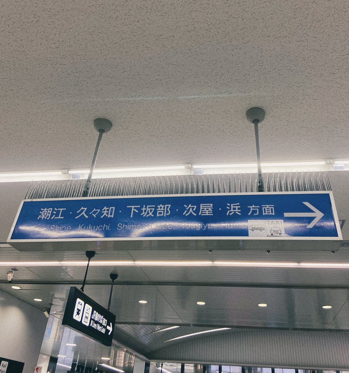 haru__212_'s tweet photo. 来たぜ https://t.co/40pVHOoLO5