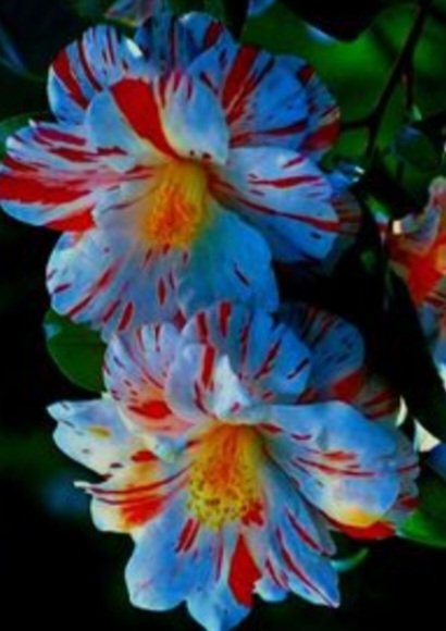 Guten Morgen 🥳☕️❤️
Gestern war ich auf Abruf.
Das heisst, wenn Chef sich bis 14 Uhr nicht meldet, hab ich frei.
14.39 Uhr hat er mich angeschrieben. 
15.15 Uhr angerufen. 
15.45 Uhr war ich im Laden.
Der hat mich nur angerufen, damit ich das Thekenchaos beseitige.
Schwöre.