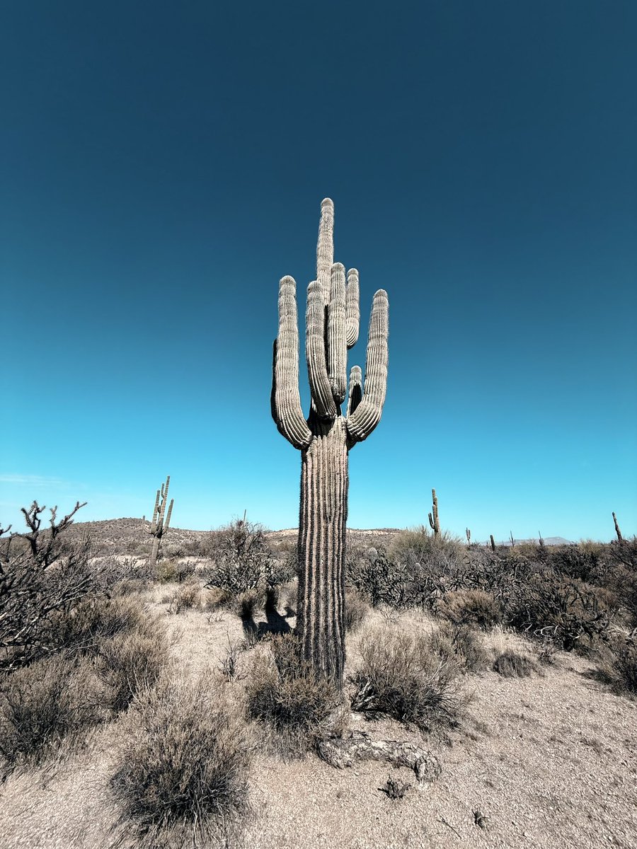 fietstwiets's tweet image. 