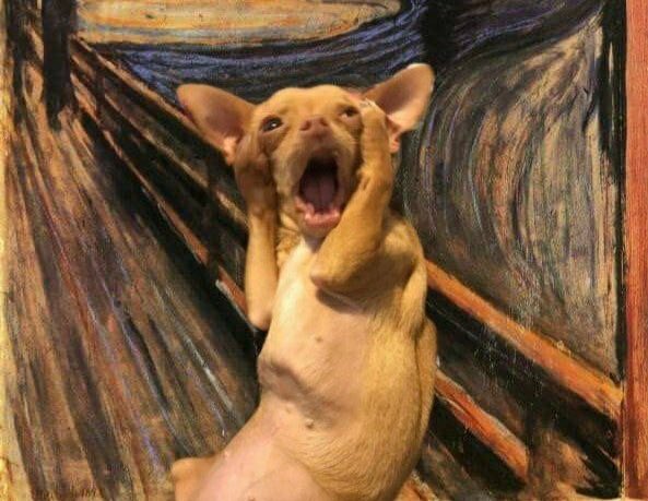 634Shadow's tweet image. 8 years ago