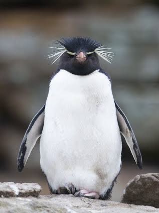 ลม. 🌗 tweet media