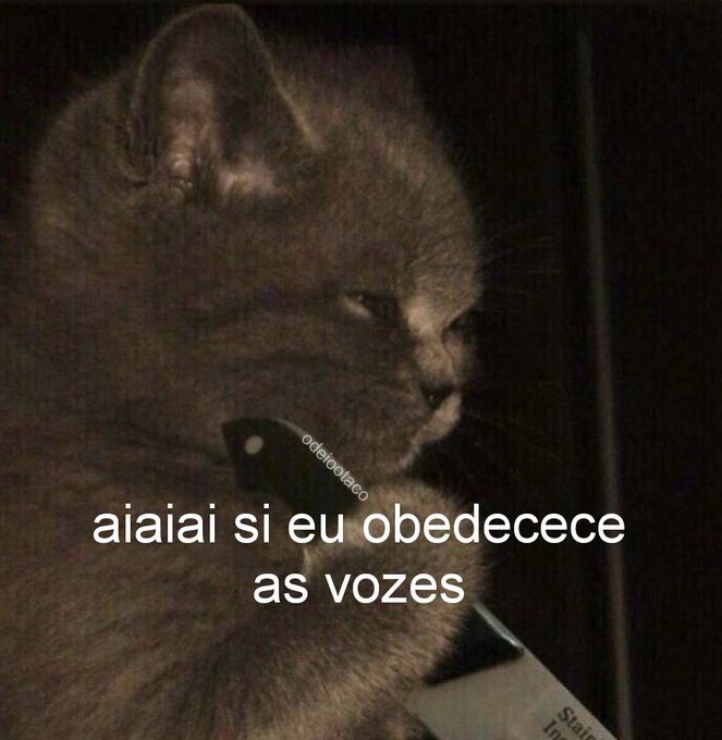 masturbe o cérebro e goze ideias (@diojodior) on Twitter photo 