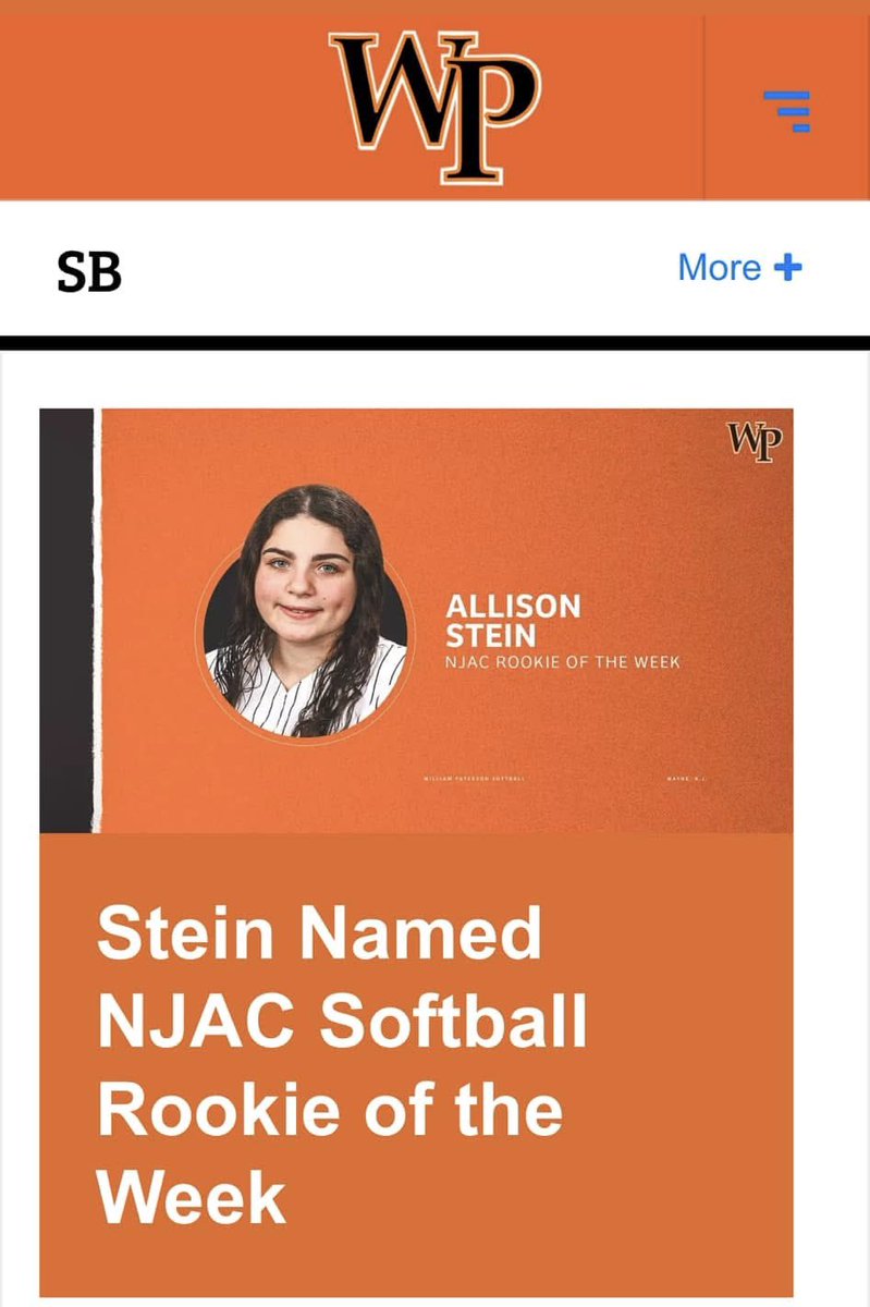 WMSOFTBALL tweet media