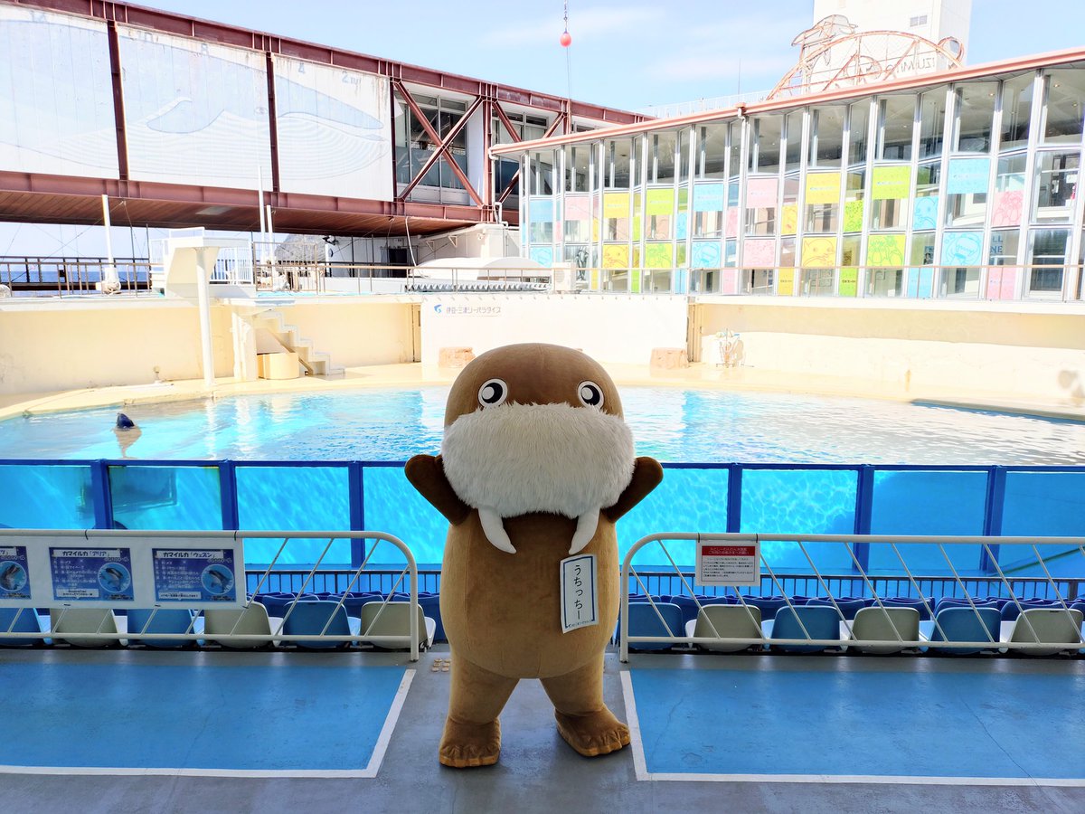 うちっちー【公式】 (@Uchicchii) / Posts / X うちっちー【公式】 (@Uchicchii) / Posts / X