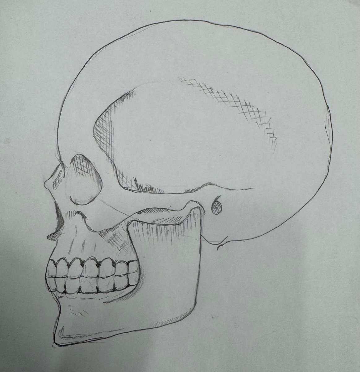 Atilim Cetin (@atilimcetin) on Twitter photo 