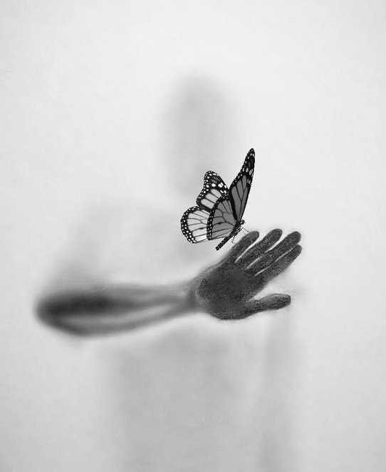 El cuerpo
es nada más que todo.
(El alma es un cansancio
magnificado,
un escape superlativo
y radiante)."¿Hasta cuándo vamos a seguir creyendo que la felicidad no es más que uno de los juegos de la ilusión.

–Susana Thénon
