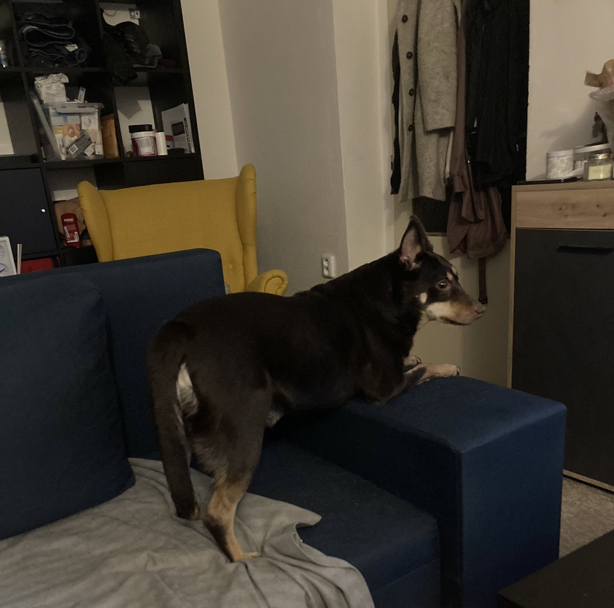 jeminkote's tweet photo. Já jsem furt jako „neukazujte mi fotky dětí“ a pak přijdu do společnosti a všichni musí vidět tohle https://t.co/nonYF48amA