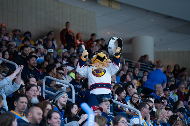 atlgladiators's tweet photo. Thank you to all the fans that came out for Thrashers Weekend! Over 16,500 fans packed the house to welcome back Blueland🏟️🏒
#IgniteTheFury🔥 #ThrashersWeekend https://t.co/NtEgzLyaRf