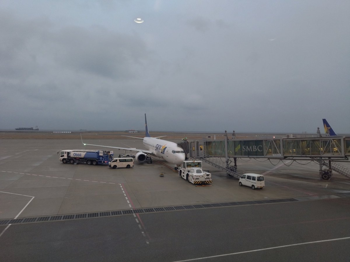 エデア＠FF14あるてま鯖 tweet media