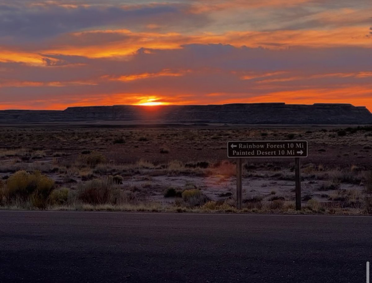 Lively42o's tweet photo. #petrifiedforest #nationalpark #Travel
#Nature
#Adventure
#Explore
#Wanderlust
#NatureLovers
#TravelPhotography
#Landscape
#Wilderness
#OutdoorLife
#NatureBeauty
#TravelGram
#Hiking
#ScenicView
#NaturePerfection
#RoadTrip
#Mountains
#TravelTheWorld
#Forest
#OceanVibes
#Wildlife https://t.co/xAVOIE6bJR