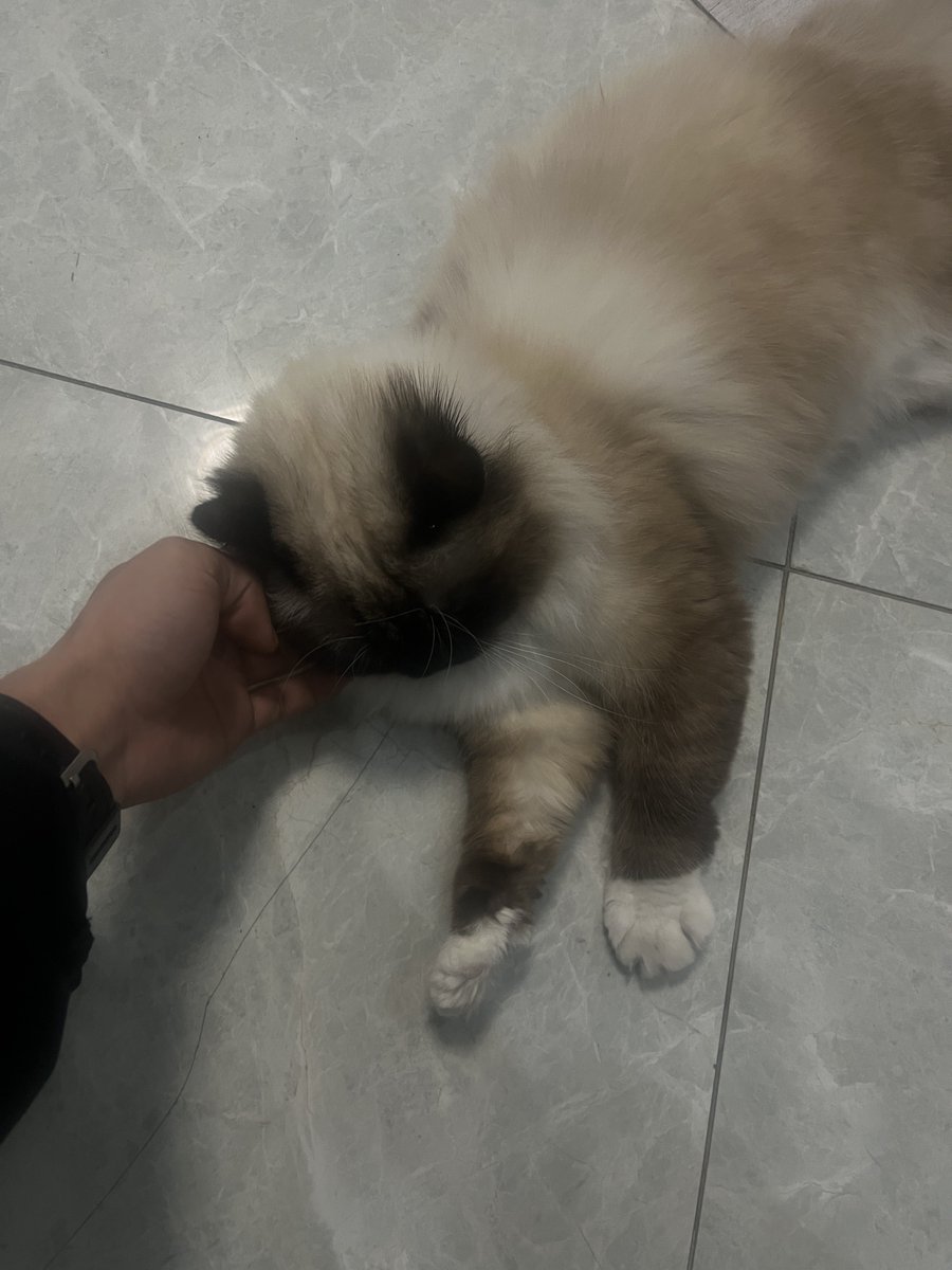 福利姬我好烦分享的黄推图片1 - 网红私拍内容