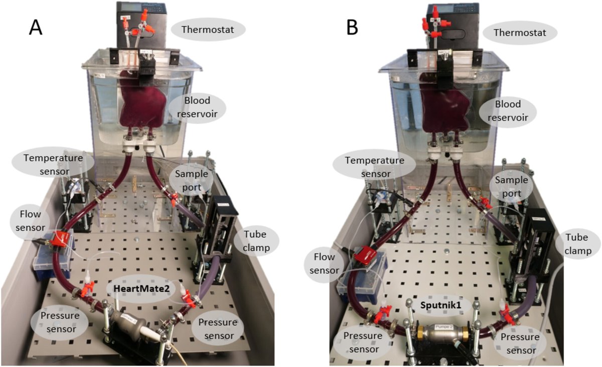Artificial Organs (@artiforgans) on Twitter photo #PumpInduced Hemolysis of Speed Modulated Axial-Flow #LVAD
👉tinyurl.com/448z35wf
<a href="/RWTH/">RWTH Aachen</a>🇩🇪| #AxialFlowPump #HeartMate2 #SpeedModulation #PumpInduced Hemolysis of Speed Modulated Axial-Flow #LVAD
👉tinyurl.com/448z35wf
<a href="/RWTH/">RWTH Aachen</a>🇩🇪| #AxialFlowPump #HeartMate2 #SpeedModulation